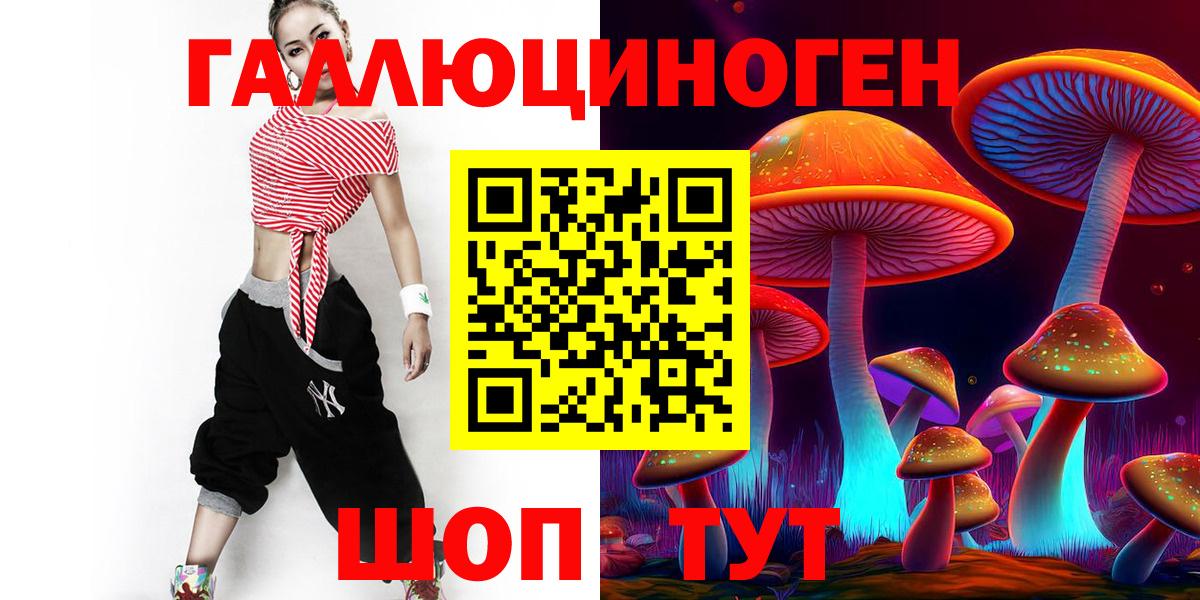 Жигулёвск  Псилоцибиновые грибы Psilocybine cubensis  Вход с VPN 